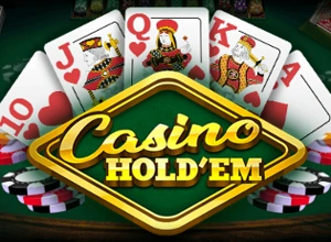 Platipus Casino Holdem