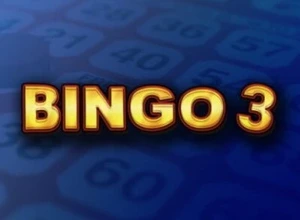 Vibra Gaming Bingo 3