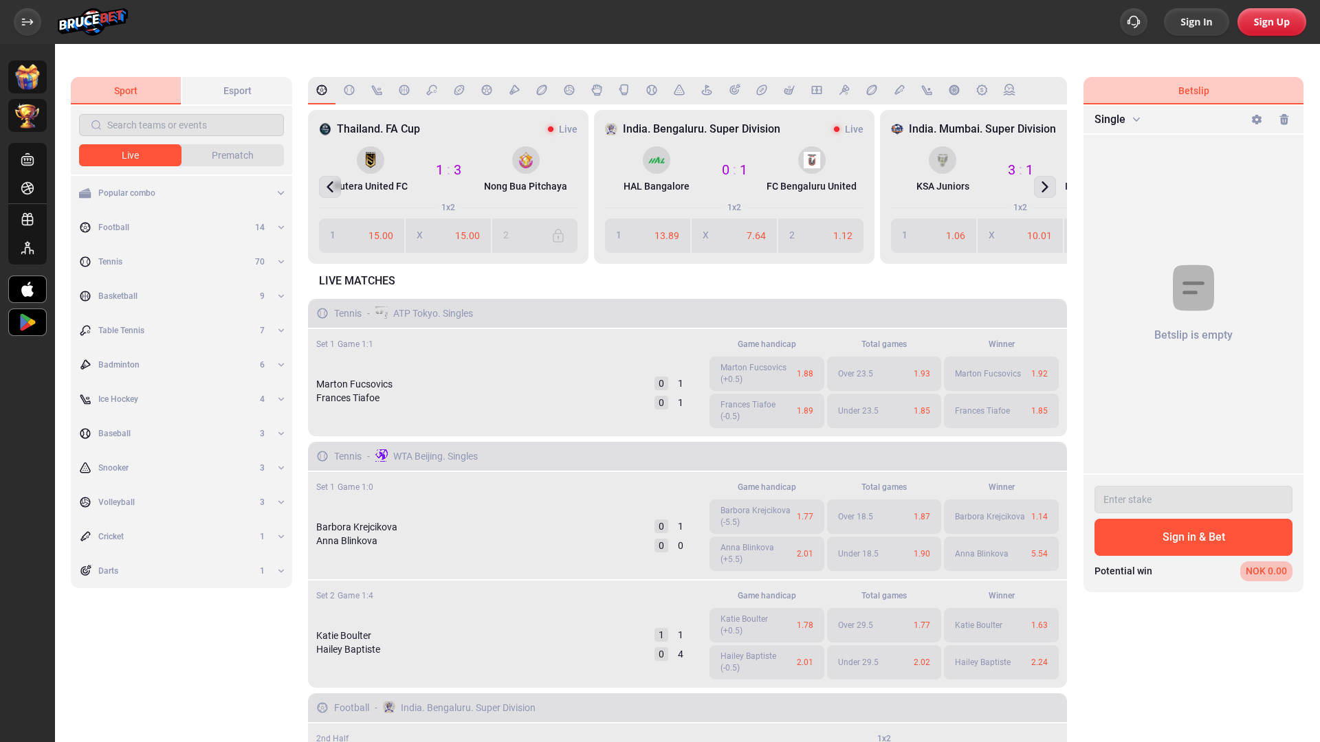 BruceBet Casino Desktop Sports