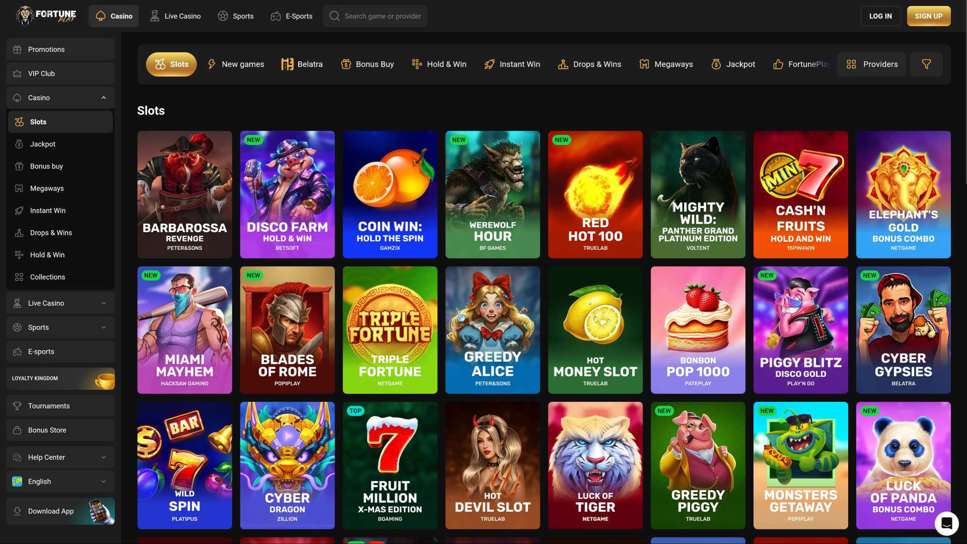 Fortune Play Casino Desktop Games