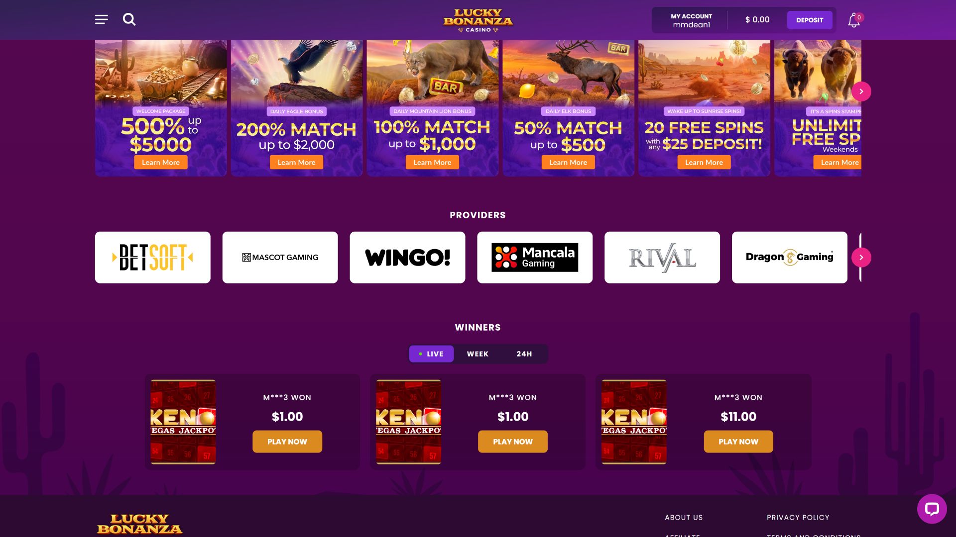 Lucky Bonanza Casino Desktop Game Developers