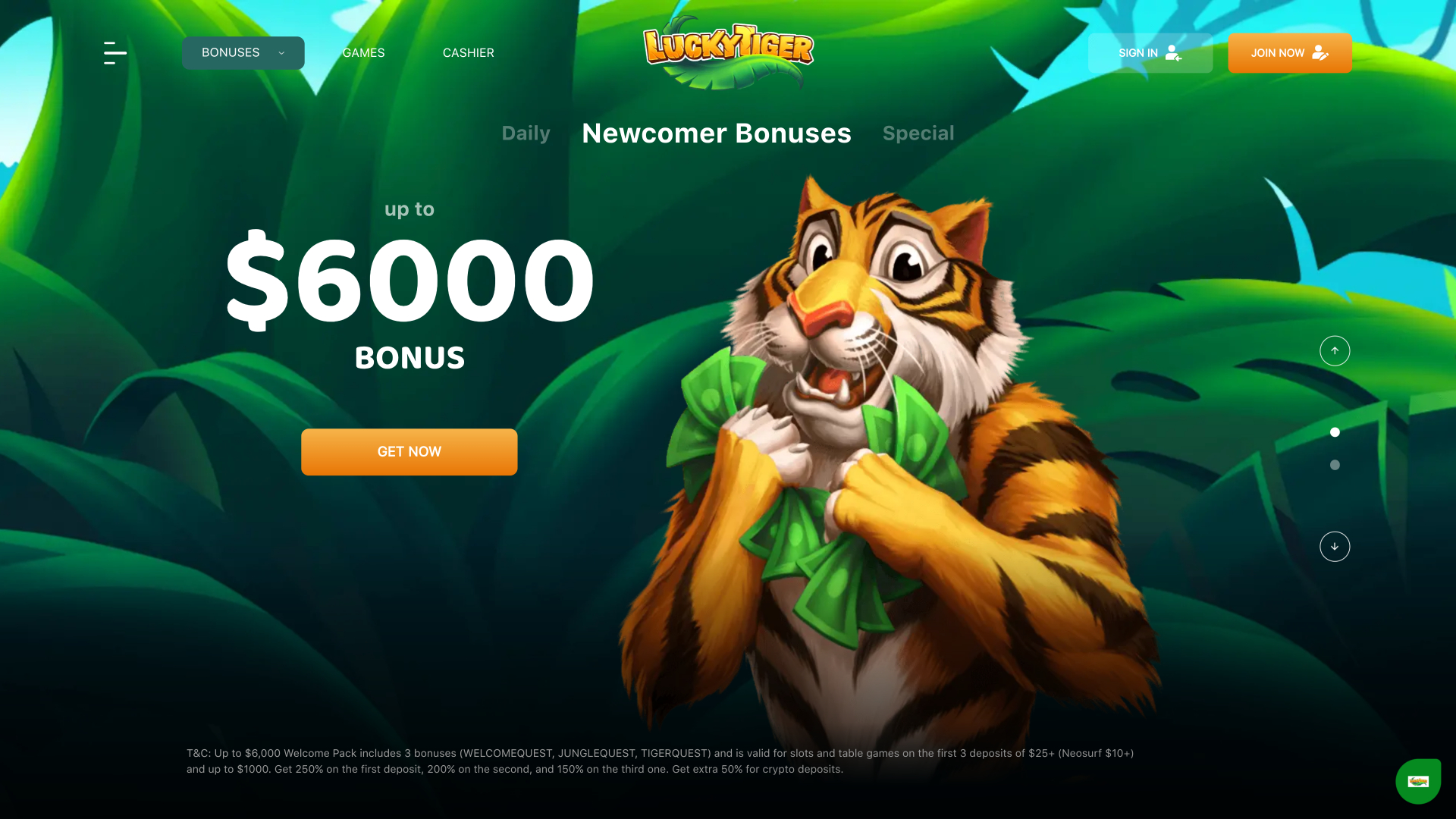 Lucky Tiger Casino Desktop Promotions