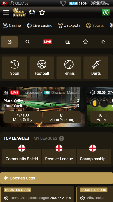 Mega Riches Casino Desktop Sports