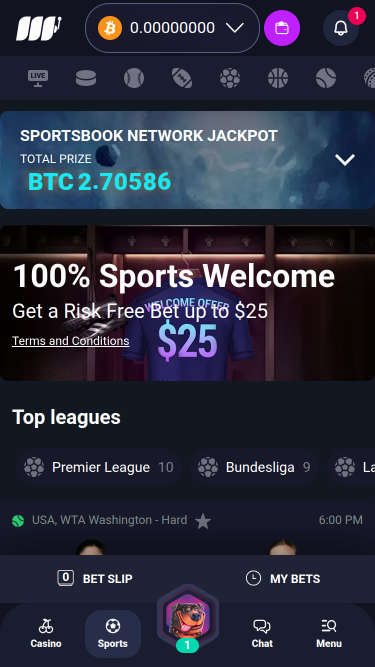 Metaspins Casino Mobile Sports