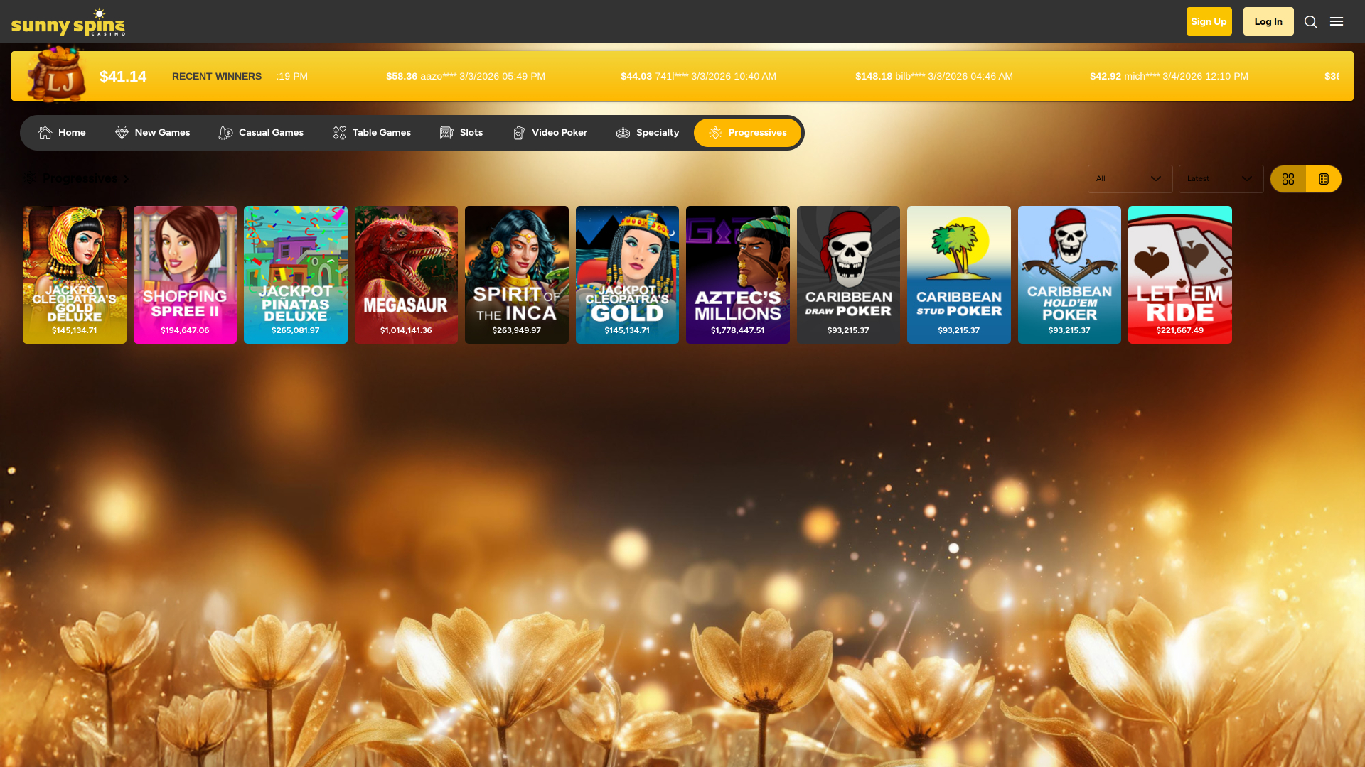 Sunnyspins Casino Desktop Jackpot