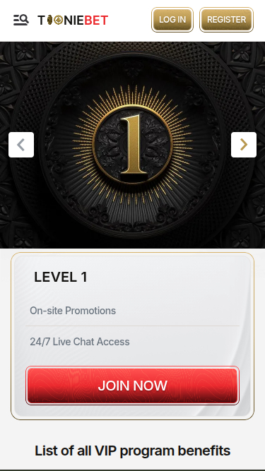 ToonieBet Casino Mobile VIP Program