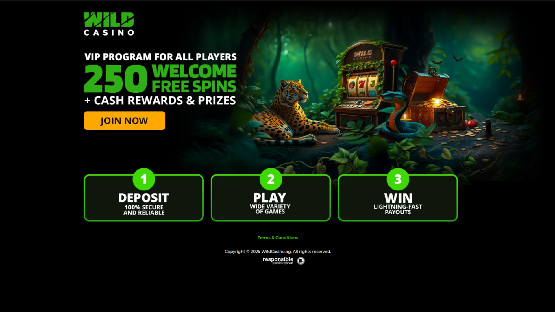 Wild Casino Desktop Promotions