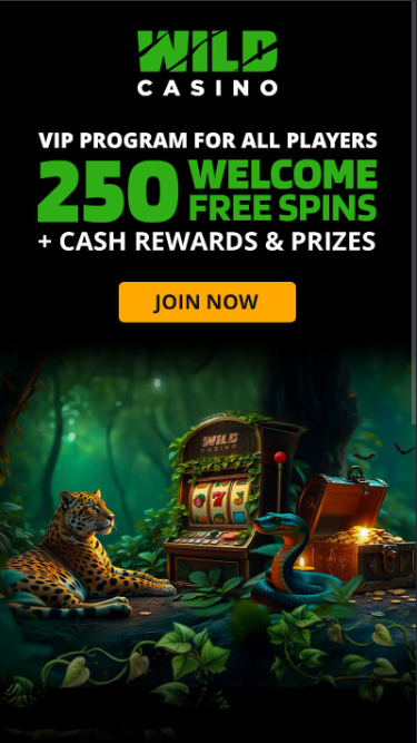 Wild Casino Mobile Promotions