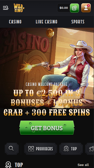 Wildsino Casino Mobile Homepage
