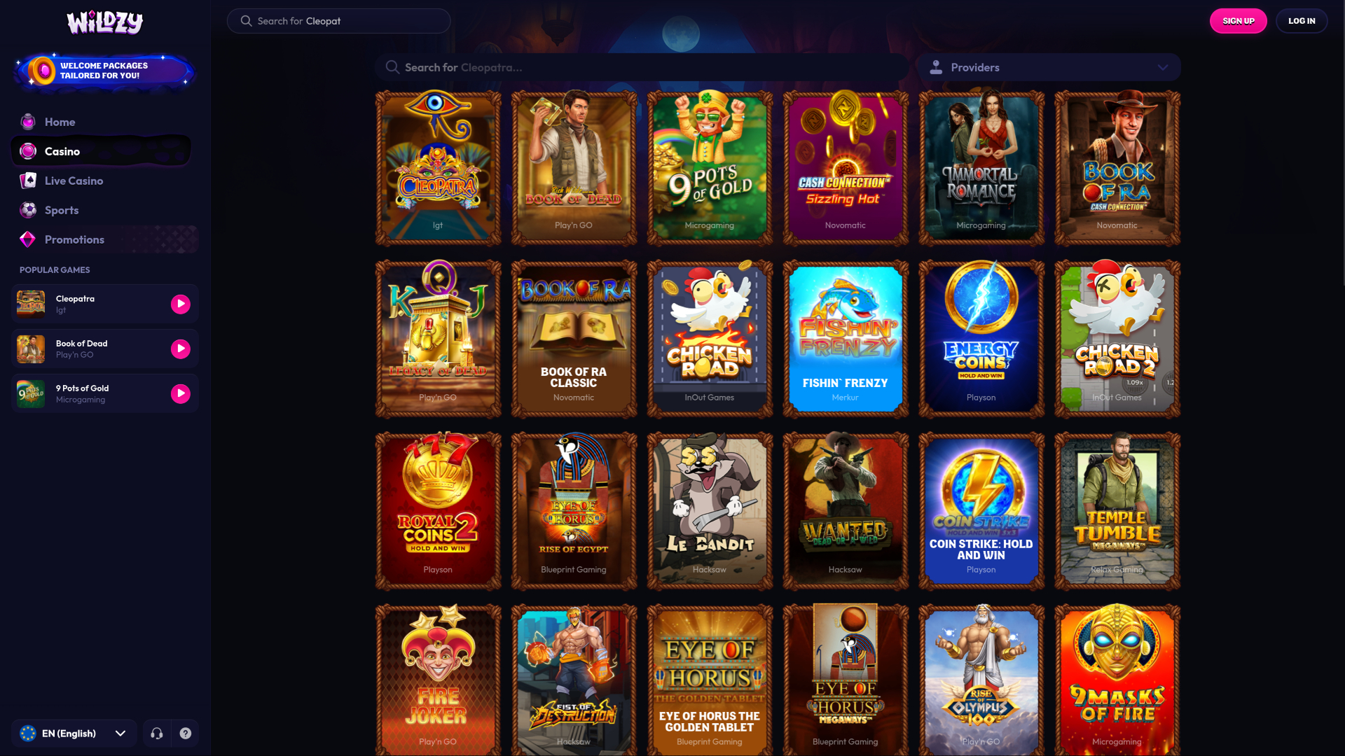 Wildzy Casino Desktop Games