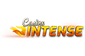Casino Intense Logo
