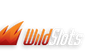 Wild Slots Casino Logo