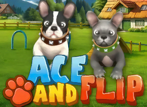 Ace and Flip