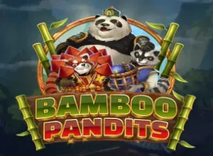 Bamboo Pandits