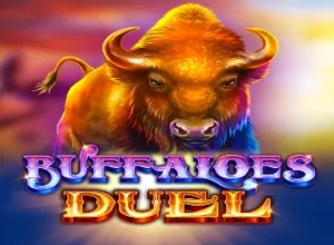 Buffaloes Duel
