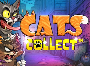 Cats Collect