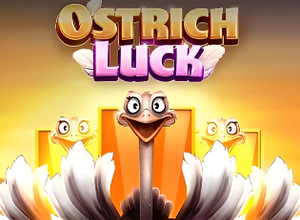 Ostrich Luck