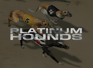 Platinum Hounds
