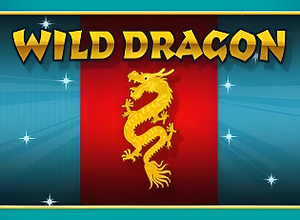 Wild Dragon Golden Hero