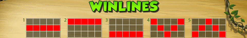 chameleonaire paylines image