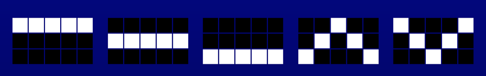 wild chicken paylines image