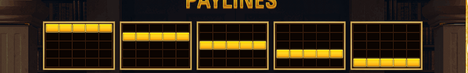 wild society paylines image