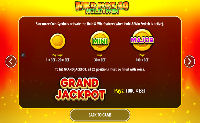 wild hot 40 hold and win paytable 2