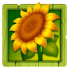 3 rich chickens sunflower symbol