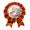 3 wild jockeys badge symbol