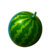 40 diamond tree lucky coin watermelon symbol