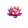 4 gold lanterns hold and win flower symbol