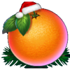 5 christmas fruits orange symbol