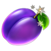 5 christmas fruits plum symbol
