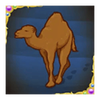 arabian nights powerpoints camel symbol
