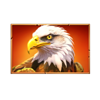 bison fortune coins eagle symbol