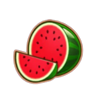 burning wins 20 classic series watermelon symbol