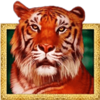 cash cats tiger symbol