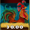 chicken fox cock symbol