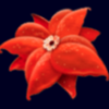 cirque du soleil amaluna red flower symbol