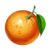 clover fortune orange symbol