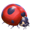 clover rollover startrail ladybug 1 symbol