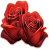 coin king beto rose symbol