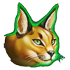 coin kingdom egyptian caracal symbol