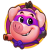 coin spinner pig 3 symbol