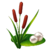 dragons gate bonus choice plant symbol