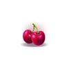 fortune coins 2 cherries symbol