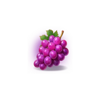 fortune coins 2 grapes symbol