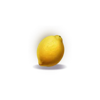 fortune coins 2 lemon symbol