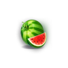 fortune coins 2 watermelon symbol