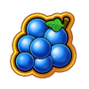 fruit million respin grape symbol